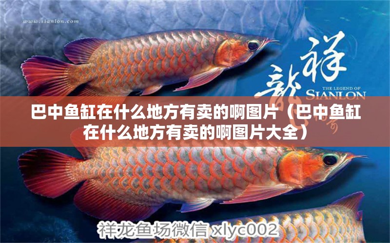 巴中魚(yú)缸在什么地方有賣(mài)的啊圖片（巴中魚(yú)缸在什么地方有賣(mài)的啊圖片大全）