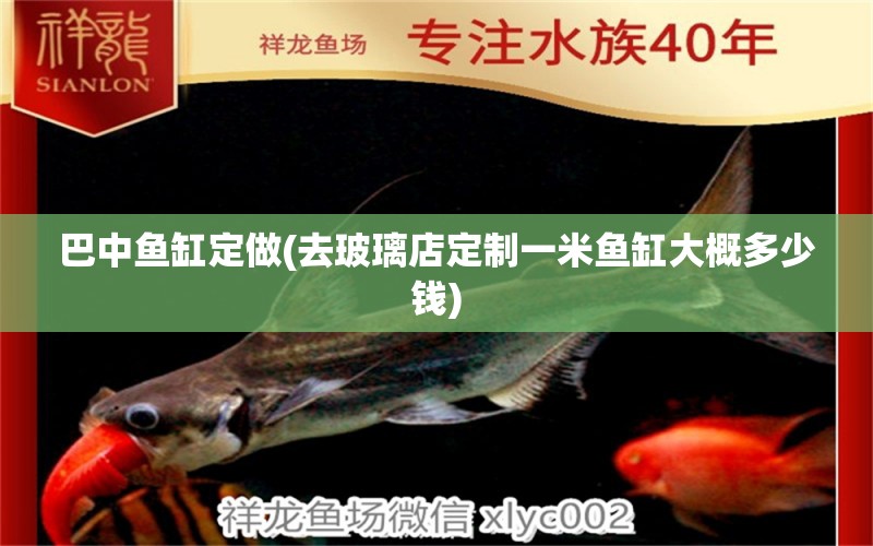 巴中魚缸定做(去玻璃店定制一米魚缸大概多少錢)