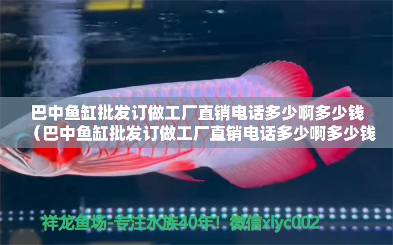 巴中魚缸批發(fā)訂做工廠直銷電話多少啊多少錢（巴中魚缸批發(fā)訂做工廠直銷電話多少啊多少錢）