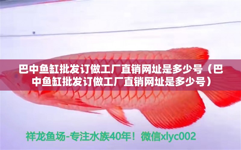 巴中魚缸批發(fā)訂做工廠直銷網(wǎng)址是多少號(hào)（巴中魚缸批發(fā)訂做工廠直銷網(wǎng)址是多少號(hào)）