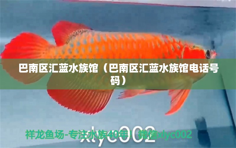 巴南區(qū)匯藍水族館（巴南區(qū)匯藍水族館電話號碼）