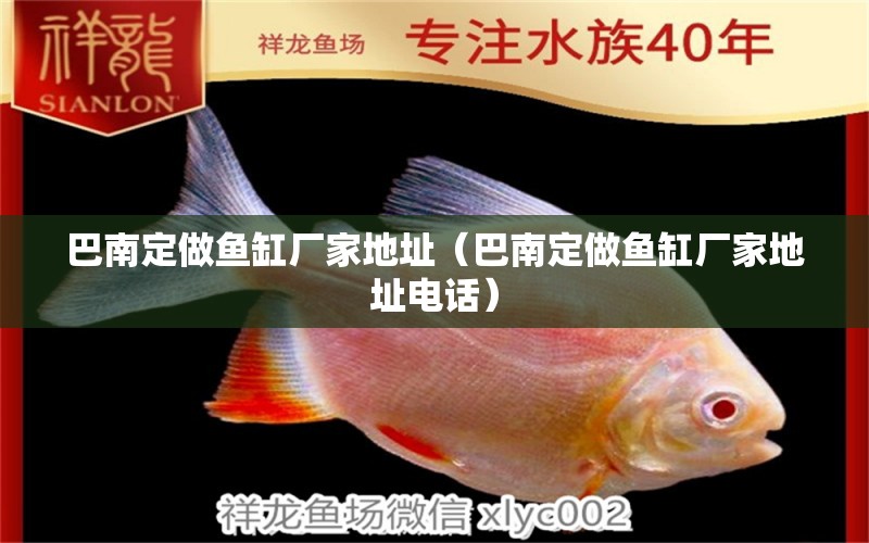 巴南定做魚缸廠家地址（巴南定做魚缸廠家地址電話） 其他品牌魚缸