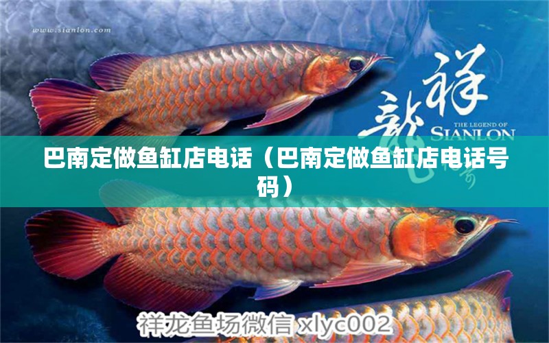 巴南定做魚缸店電話（巴南定做魚缸店電話號(hào)碼） 其他品牌魚缸