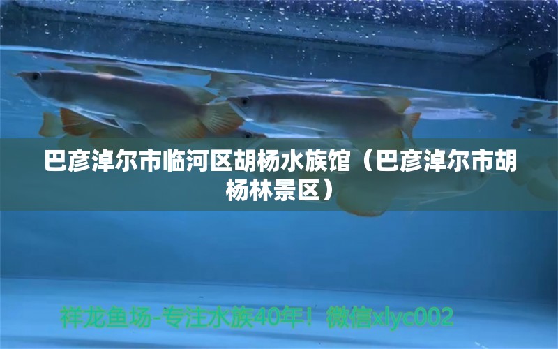 巴彥淖爾市臨河區(qū)胡楊水族館（巴彥淖爾市胡楊林景區(qū)）