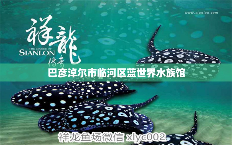 巴彥淖爾市臨河區(qū)藍(lán)世界水族館