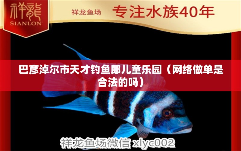 巴彥淖爾市天才釣魚郎兒童樂園（網(wǎng)絡(luò)做單是合法的嗎）