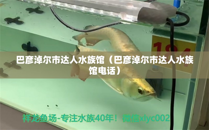 巴彥淖爾市達(dá)人水族館（巴彥淖爾市達(dá)人水族館電話）