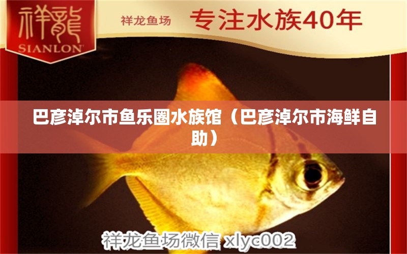 巴彥淖爾市魚樂圈水族館（巴彥淖爾市海鮮自助） 全國水族館企業(yè)名錄