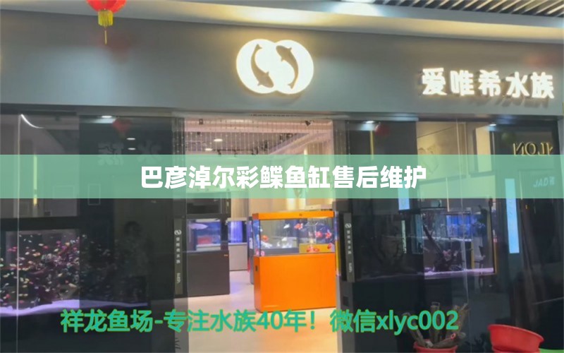 巴彥淖爾彩鰈魚(yú)缸售后維護(hù)