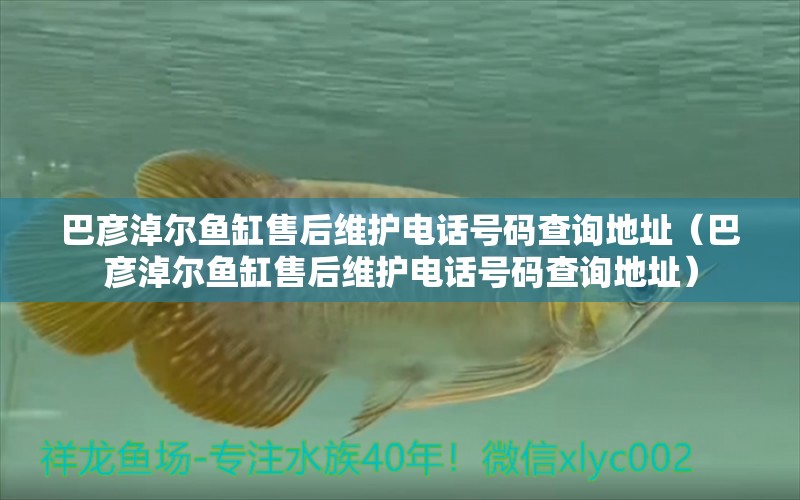 巴彥淖爾魚缸售后維護(hù)電話號碼查詢地址（巴彥淖爾魚缸售后維護(hù)電話號碼查詢地址）