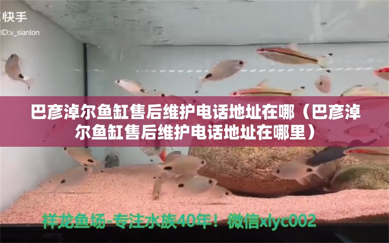 巴彥淖爾魚缸售后維護(hù)電話地址在哪（巴彥淖爾魚缸售后維護(hù)電話地址在哪里）