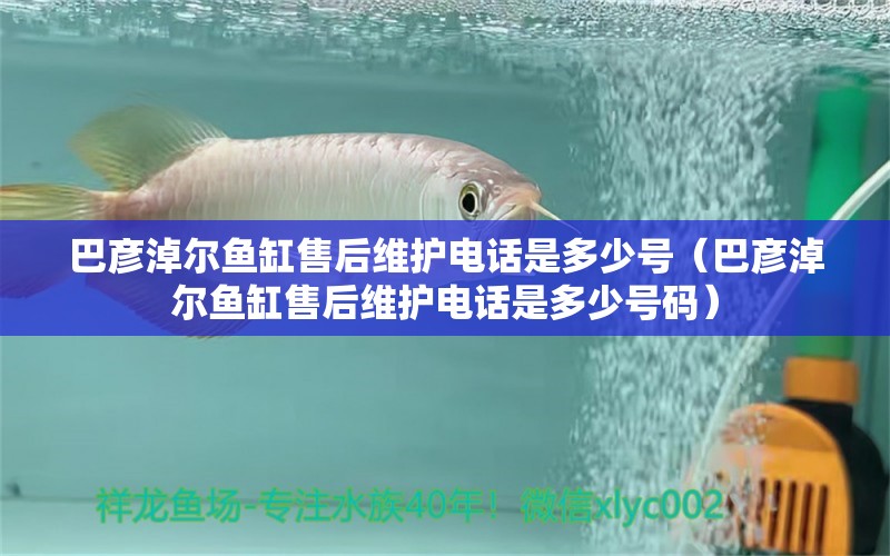 巴彥淖爾魚缸售后維護電話是多少號（巴彥淖爾魚缸售后維護電話是多少號碼）