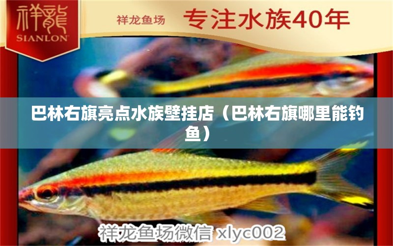 巴林右旗亮點(diǎn)水族壁掛店（巴林右旗哪里能釣魚(yú)） 垂釣樂(lè)園