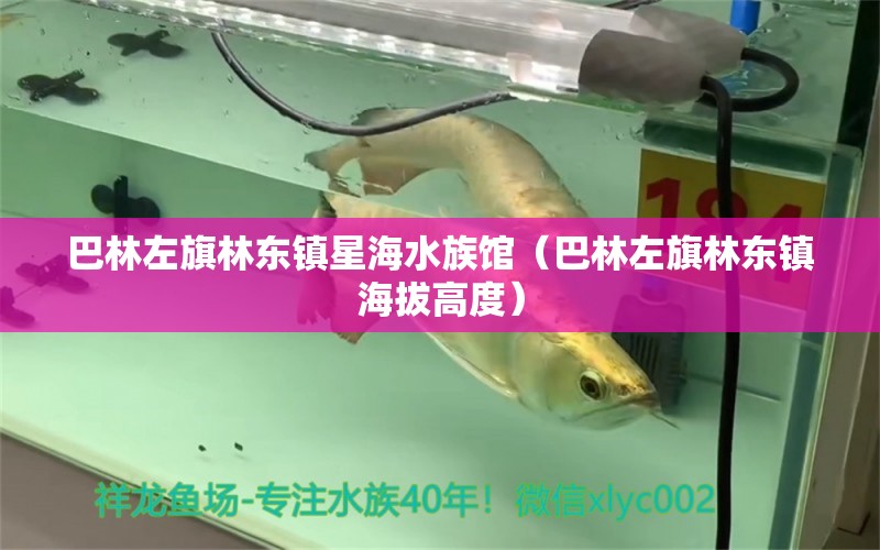 巴林左旗林東鎮(zhèn)星海水族館（巴林左旗林東鎮(zhèn)海拔高度）