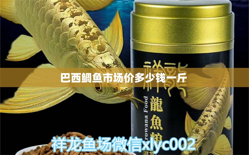 巴西鯛魚市場價多少錢一斤 