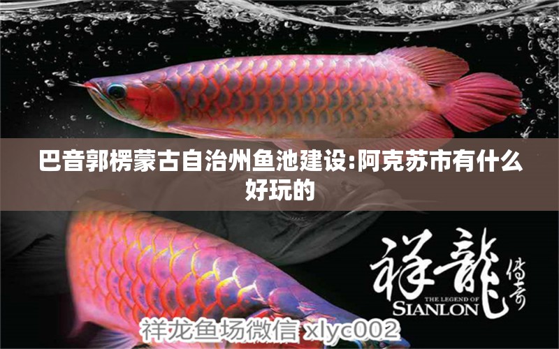 巴音郭楞蒙古自治州魚池建設(shè):阿克蘇市有什么好玩的