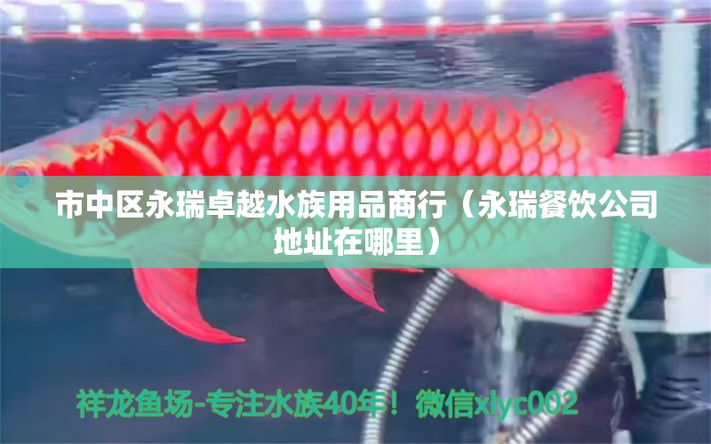 市中區(qū)永瑞卓越水族用品商行（永瑞餐飲公司地址在哪里） 水族用品