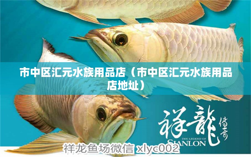 市中區(qū)匯元水族用品店（市中區(qū)匯元水族用品店地址） 水族用品