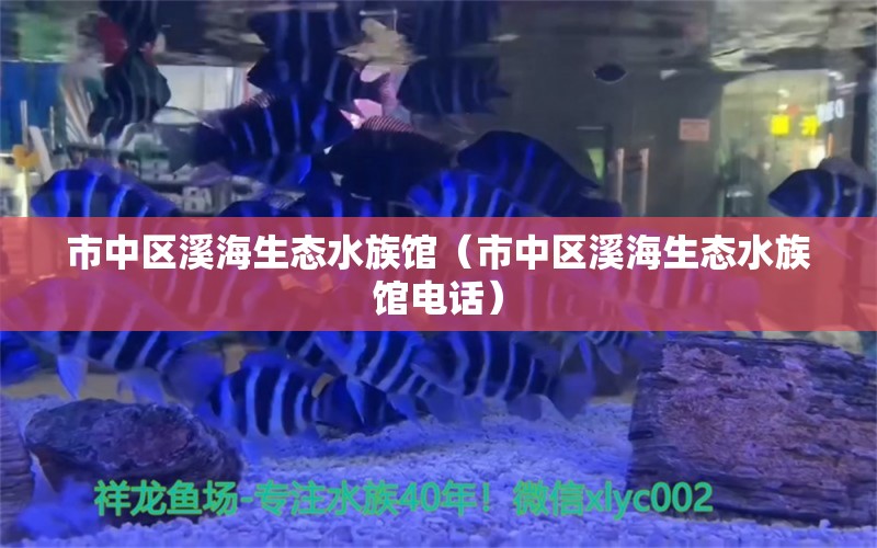 市中區(qū)溪海生態(tài)水族館（市中區(qū)溪海生態(tài)水族館電話） 全國(guó)水族館企業(yè)名錄