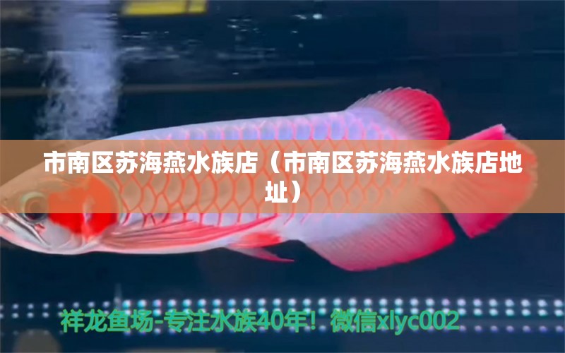 市南區(qū)蘇海燕水族店（市南區(qū)蘇海燕水族店地址）