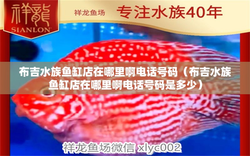 布吉水族魚缸店在哪里啊電話號碼（布吉水族魚缸店在哪里啊電話號碼是多少） 祥龍水族醫(yī)院