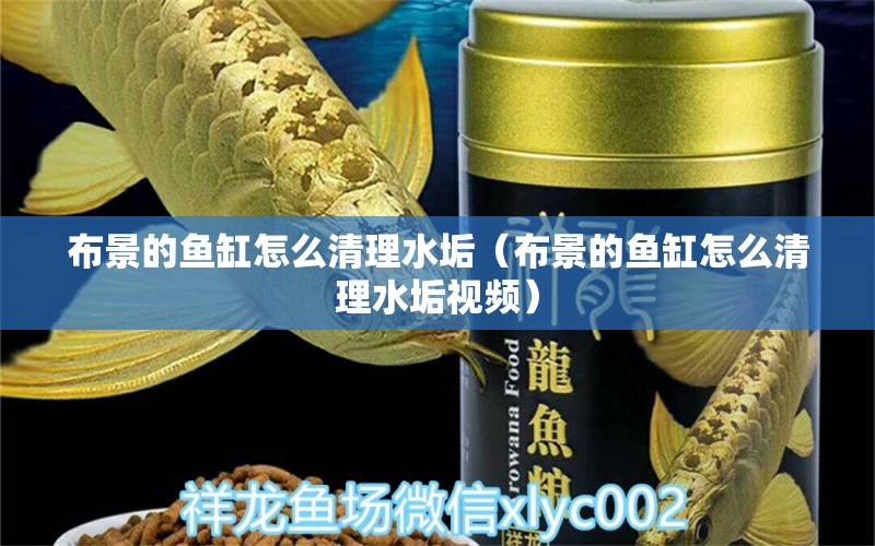 布景的魚缸怎么清理水垢（布景的魚缸怎么清理水垢視頻）