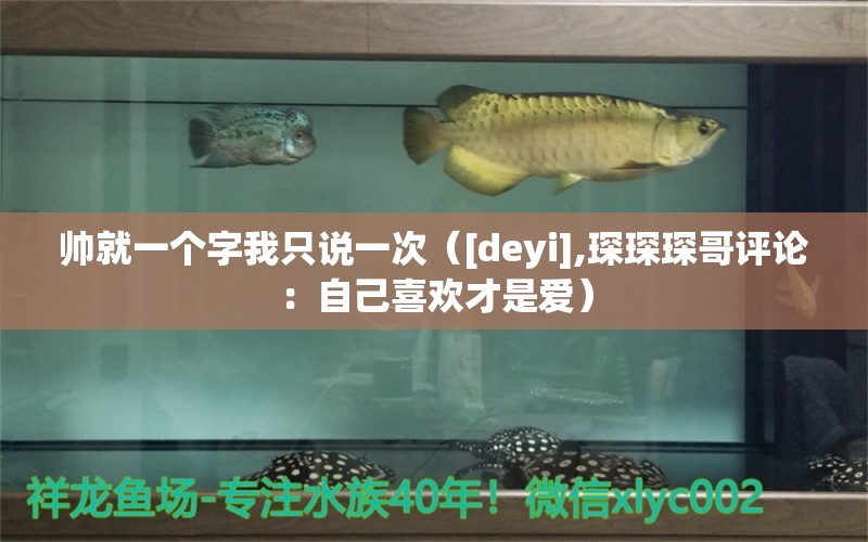 帥就一個字我只說一次（[deyi],琛琛琛哥評論：自己喜歡才是愛） 觀賞魚論壇 第2張