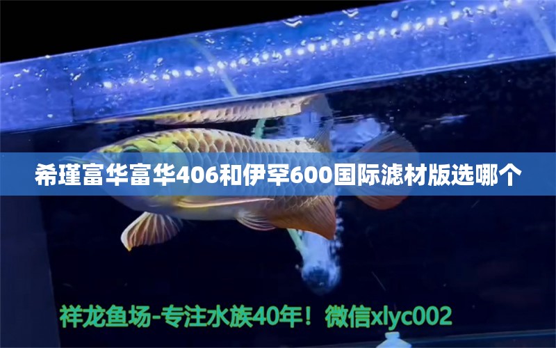 希瑾富華富華406和伊罕600國(guó)際濾材版選哪個(gè) 伊罕水族