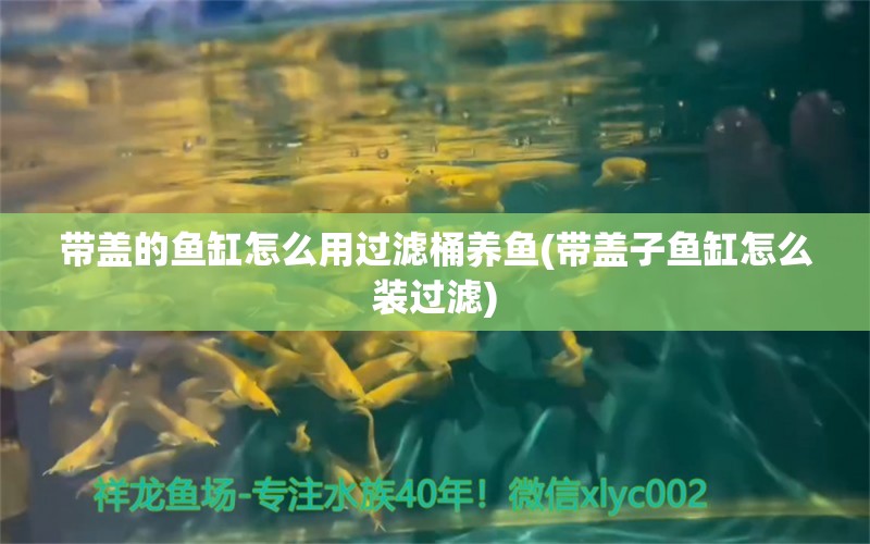 帶蓋的魚(yú)缸怎么用過(guò)濾桶養(yǎng)魚(yú)(帶蓋子魚(yú)缸怎么裝過(guò)濾) 祥龍龍魚(yú)專(zhuān)用水族燈 第1張