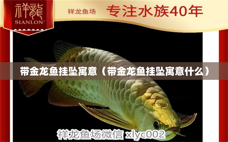 帶金龍魚掛墜寓意（帶金龍魚掛墜寓意什么）