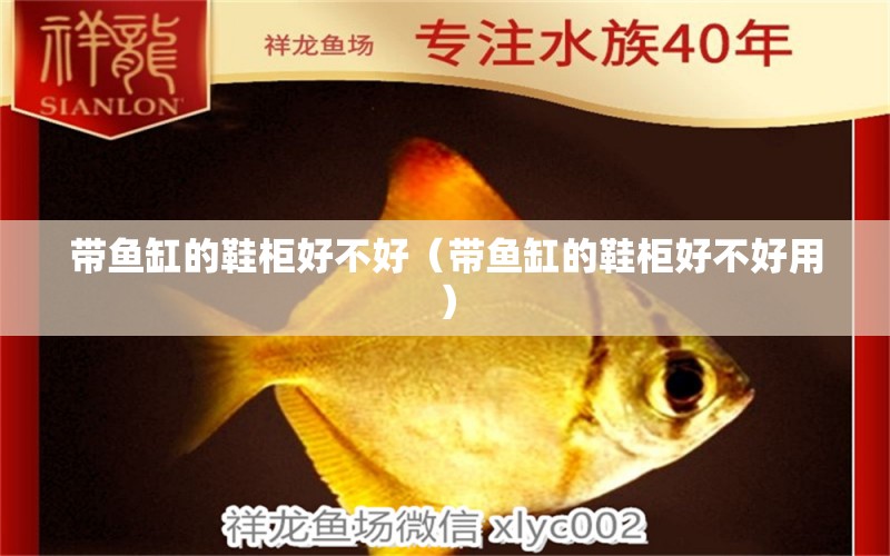 帶魚(yú)缸的鞋柜好不好（帶魚(yú)缸的鞋柜好不好用）