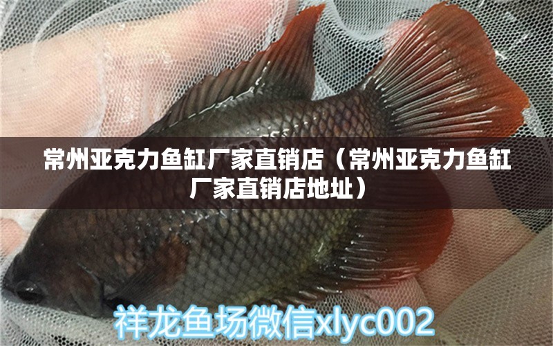 常州亞克力魚(yú)缸廠家直銷(xiāo)店（常州亞克力魚(yú)缸廠家直銷(xiāo)店地址）