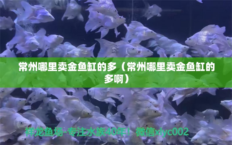 常州哪里賣金魚缸的多（常州哪里賣金魚缸的多?。?其他品牌魚缸