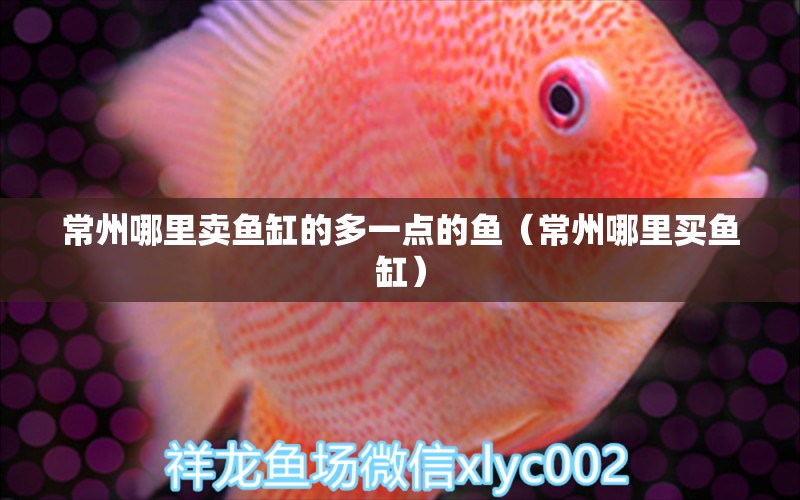 常州哪里賣魚缸的多一點(diǎn)的魚（常州哪里買魚缸） 祥龍魚藥系列