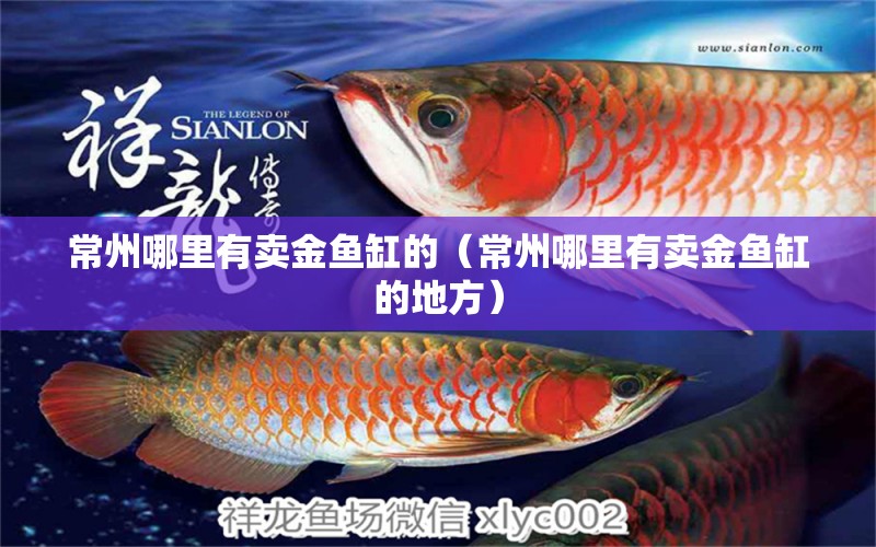 常州哪里有賣金魚缸的（常州哪里有賣金魚缸的地方）