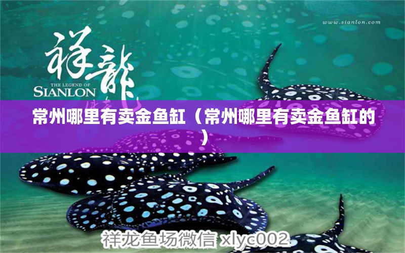 常州哪里有賣金魚缸（常州哪里有賣金魚缸的） 其他品牌魚缸