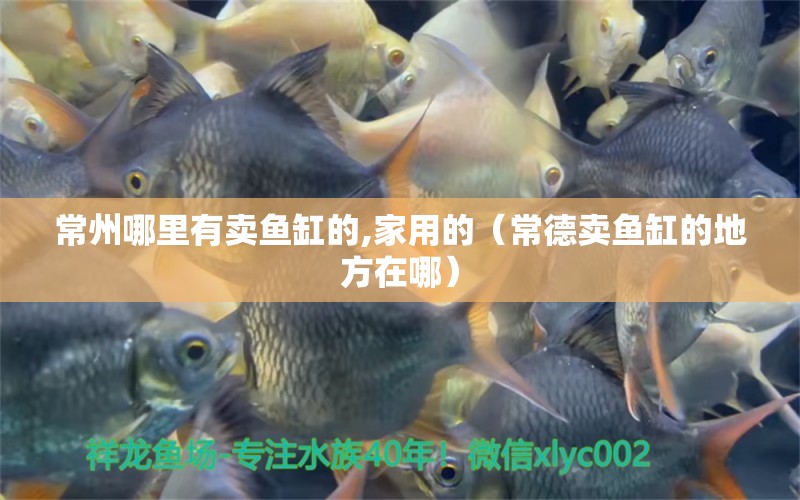 常州哪里有賣魚缸的,家用的（常德賣魚缸的地方在哪） 水族維護服務(wù)（上門）