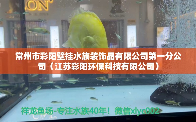 常州市彩陽壁掛水族裝飾品有限公司第一分公司（江蘇彩陽環(huán)?？萍加邢薰荆? title=