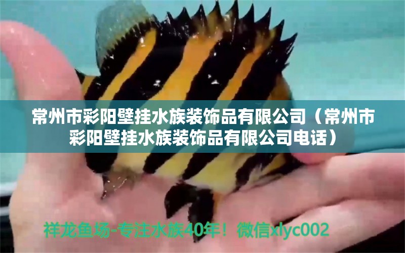 常州市彩陽壁掛水族裝飾品有限公司（常州市彩陽壁掛水族裝飾品有限公司電話）