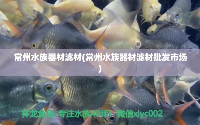 常州水族器材濾材(常州水族器材濾材批發(fā)市場) 廣州水族器材濾材批發(fā)市場