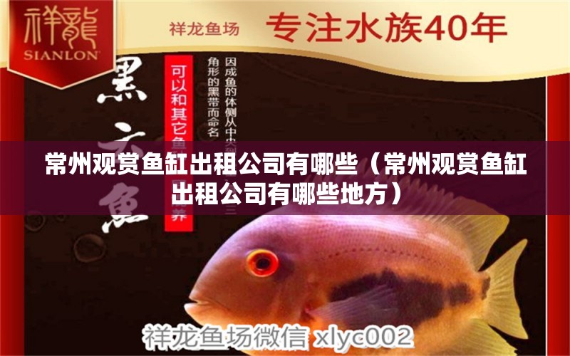 常州觀賞魚缸出租公司有哪些（常州觀賞魚缸出租公司有哪些地方）