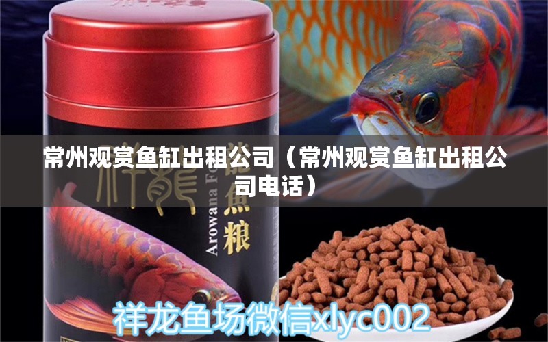 常州觀賞魚缸出租公司（常州觀賞魚缸出租公司電話）