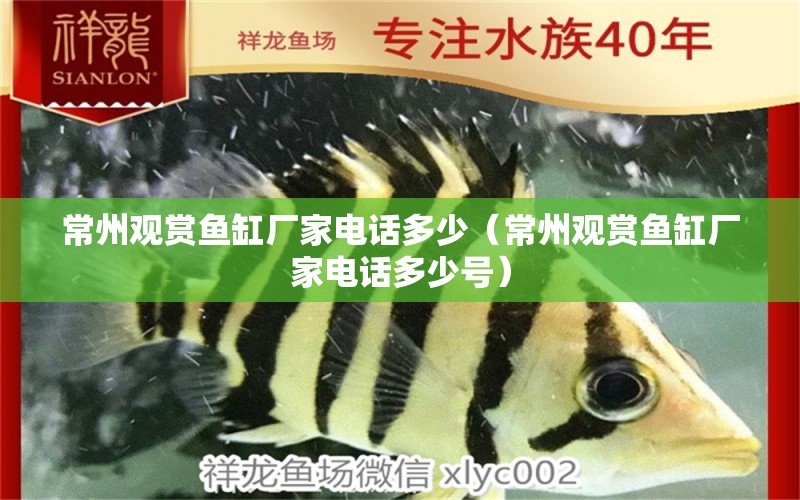 常州觀賞魚(yú)缸廠家電話多少（常州觀賞魚(yú)缸廠家電話多少號(hào)） 祥龍水族醫(yī)院