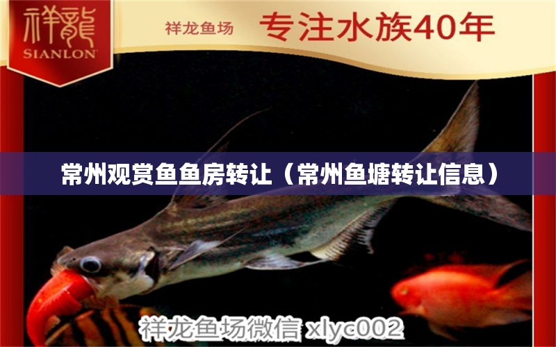 常州觀賞魚魚房轉(zhuǎn)讓（常州魚塘轉(zhuǎn)讓信息）