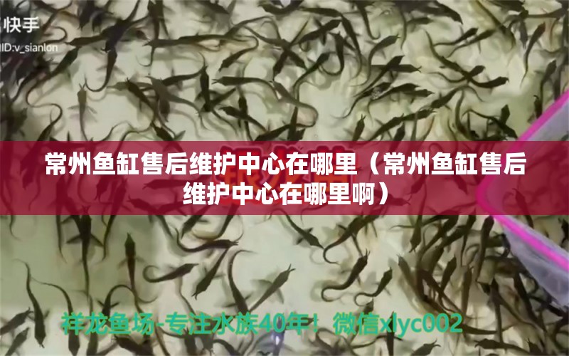 常州魚缸售后維護(hù)中心在哪里（常州魚缸售后維護(hù)中心在哪里?。?其他品牌魚缸