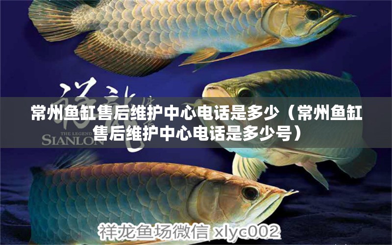 常州魚缸售后維護(hù)中心電話是多少（常州魚缸售后維護(hù)中心電話是多少號）