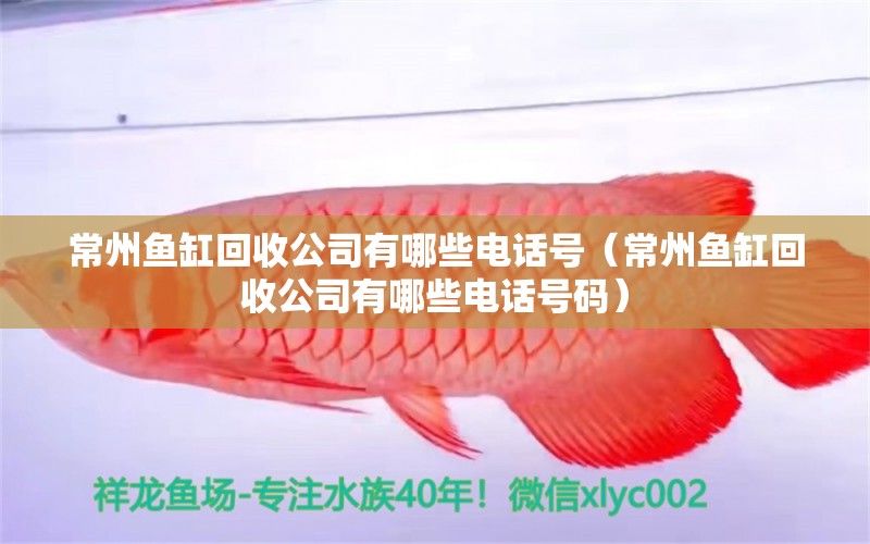 常州魚缸回收公司有哪些電話號（常州魚缸回收公司有哪些電話號碼） 一眉道人魚