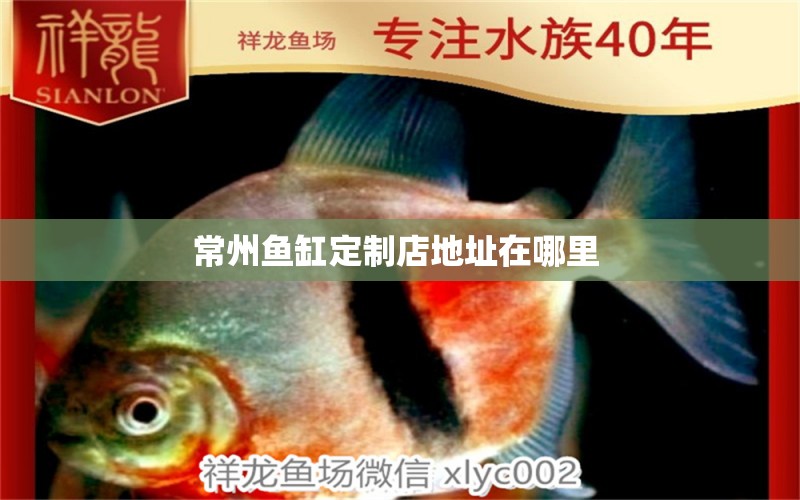 常州魚缸定制店地址在哪里  球鯊魚