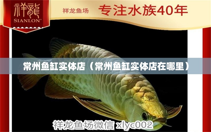 常州魚(yú)缸實(shí)體店（常州魚(yú)缸實(shí)體店在哪里）