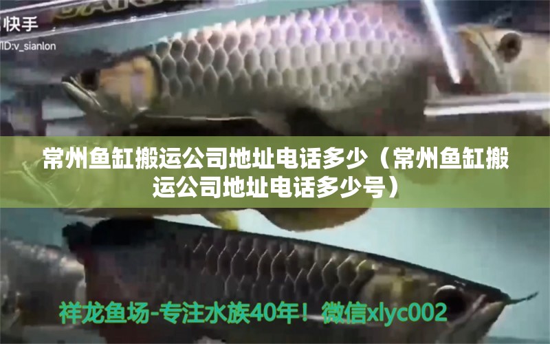 常州魚缸搬運公司地址電話多少（常州魚缸搬運公司地址電話多少號） 蝴蝶鯉魚苗